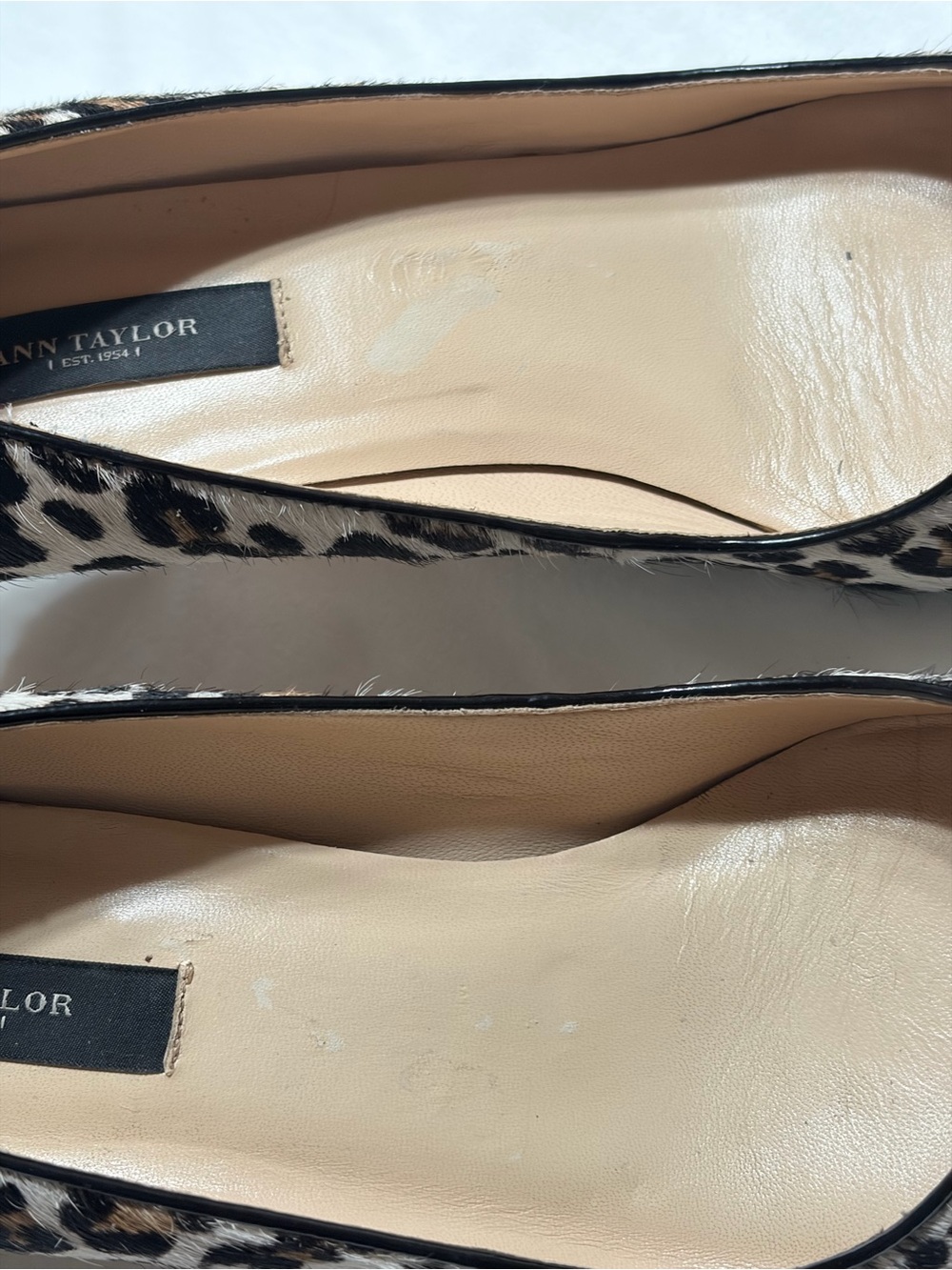 Ann Taylor Leopard-Print Pointed Toe Flats - Black, Brown, Cream - Picture 10 of 15